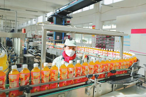 多產業(yè)協(xié)同發(fā)展 鋁產業(yè)、綠色家居與食品飲料等重點領域的建設與營商環(huán)境優(yōu)化